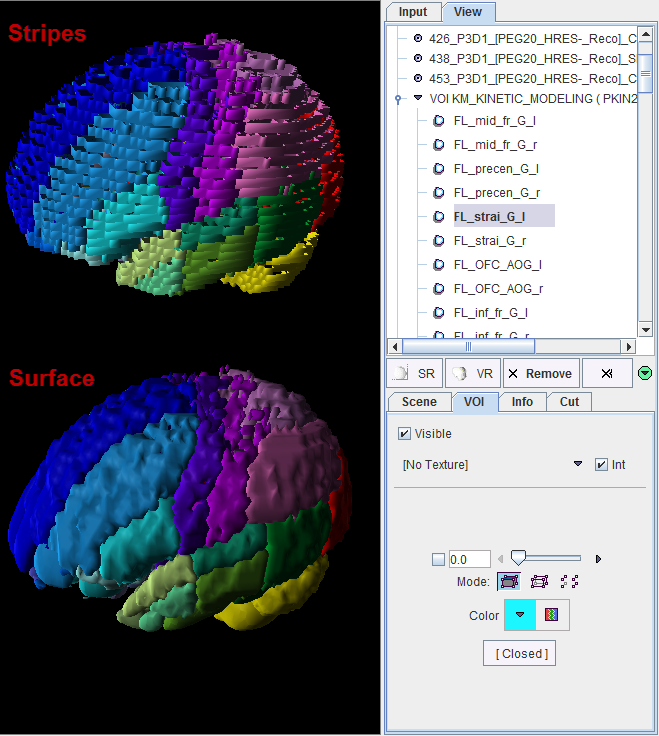 P3D Vois Only Rendering