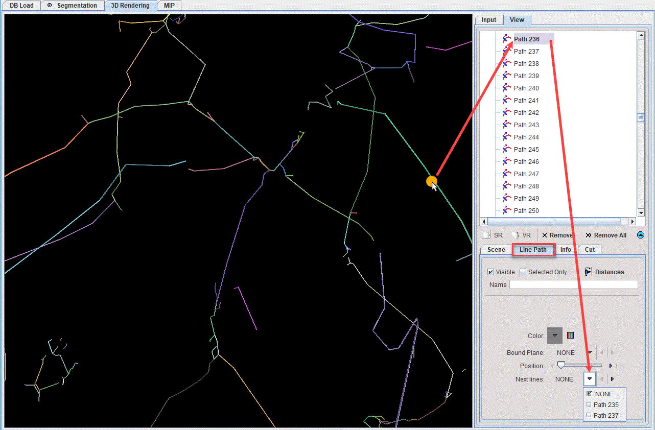 P3D_Skeletons_Path_Properties