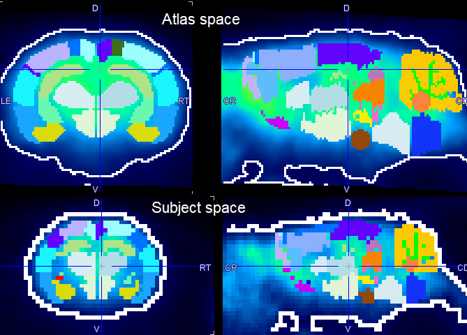 SingleModalitySpaceComparison